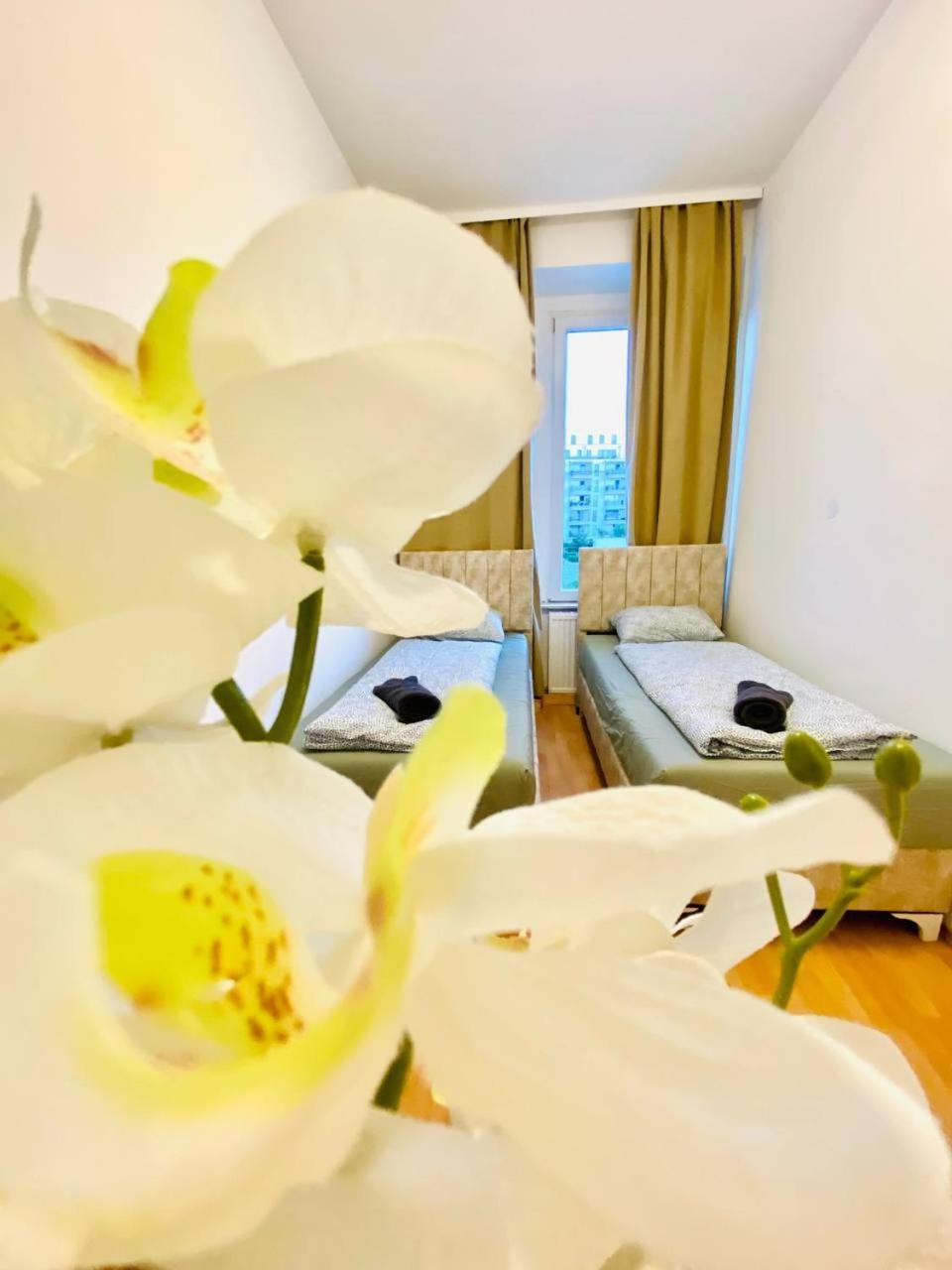Comfortable Room In The 23Rd District Of Vienna Fr4 Bagian luar foto
